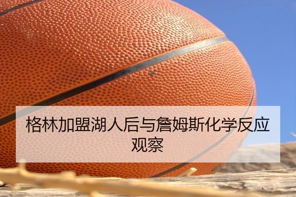 格林加盟湖人后与詹姆斯化学反应观察